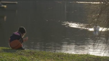 Kuğu Gölü banka seyir için gıda kuğu oyunlar tarafından sakin sakin gölet küçük kız Yüzme bir çocuk yaklaşımlar bir yeşil göl kıyısında oturuyor