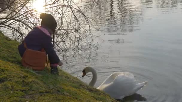 Kid kanály Bílá Labuť poskytuje, trávy na ptačí Swan je plavání v klidné klidné rybník holčička sedí na břehu zelené jezero jarní
