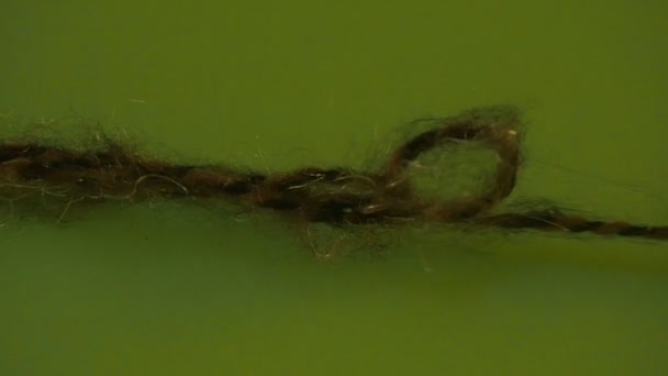 Unknitted αλυσίδα νήματα πράσινο σε πράσινο οθόνη πολύχρωμο νήμα ένδειξη Funiculus νήματα από μαλλί ίνες είναι κινείται κάποιος είναι το τράβηγμα του νήματος άκρα — Αρχείο Βίντεο