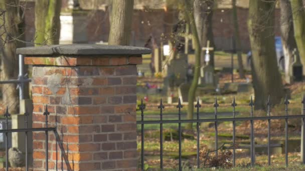 Le automobili stanno passando vicino alle vecchie tombe delle croci al cimitero nel posto di sepoltura di giorno pieno di sole fra i rami degli alberi stanno ondeggiando al sole di brezza brilla le pietre della tomba — Video Stock