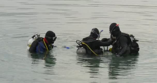 Drie mannen Divers close-up staan in het Water gaan duik controleren hun apparatuur praten bespreken mannen duikers in zwembroek zwart past — Stockvideo
