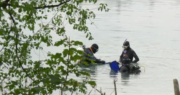 Drie mannen Divers staan in het Water gaan duik mannen duikers in Swimwear zwarte kostuums zijn duik te nemen in de vijver Lake River begroeid banken bomen — Stockvideo