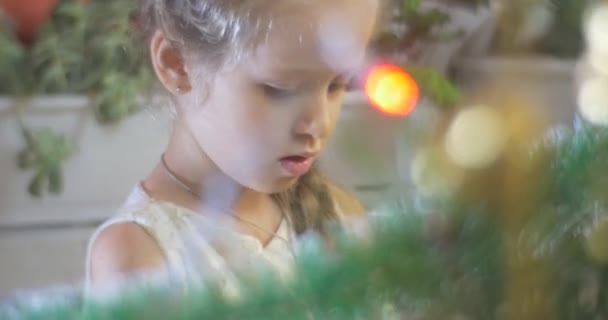 Девушка кладет игрушку в сосновый филиал Глядя внимательно Золотой Белл-Гарланд находится на новогоднем дереве на семейном празднике Девушка с голубыми глазами — стоковое видео