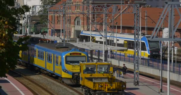 Frau am Bahnsteig Zwei blaue und gelbe Personenzüge stehen an den Bahnstationen Türen sind verschlossen Lok nähert sich Zug — Stockvideo