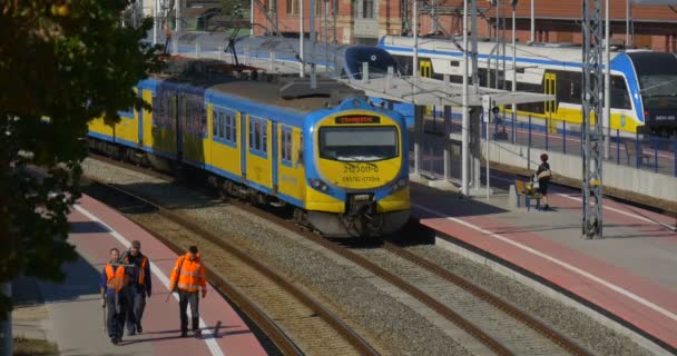 Mujer en el tren Platphorm Los trabajadores llegados están caminando Dos trenes eléctricos de pasajeros azules y amarillos están de pie en la estación de tren Las puertas están cerradas — Vídeos de Stock
