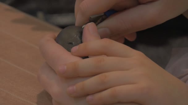Handen doen zwarte paasei snijden uit Ornament bij familie Master Class Opole Polen voorbereiding naar Pasen viering gezinnen werken samen — Stockvideo