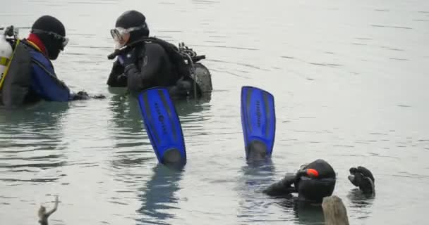 Трое мужчин ныряльщиков вблизи стоят в воде, собираются нырять, проверяя снаряжение. Водолазы в купальниках, черные костюмы ныряют в реку. — стоковое видео