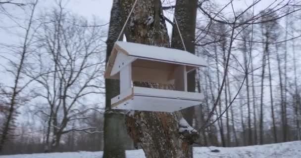 Bílé dřevěné ptačí krmítko visí na stromě v parku země pokryté sněhem holé stromy lavičky šedé obloze zimní zatažené Kyjev Ukrajina — Stock video