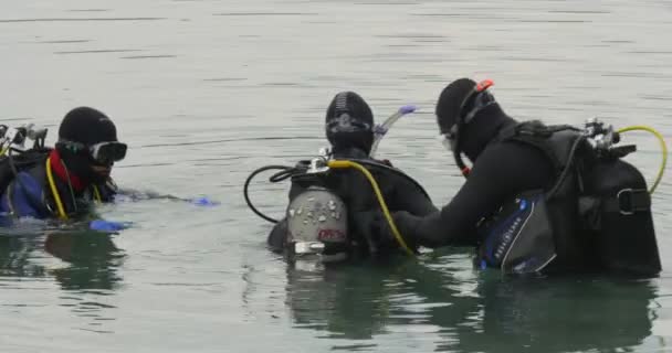Трое мужчин ныряльщиков вблизи стоят в воде собирается нырять проверка оборудования разговаривая держа Flipper мужчин дайверов в купальниках черные костюмы — стоковое видео
