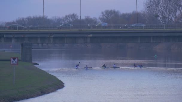 Sportsmen Paddle a Canoes Along Bank Altura Limit Sign Men Are Kayaking Cars Are Driven by Bridge on a Suppurts Evening Dusk Green Banks Trees Silhouettes — Vídeo de Stock