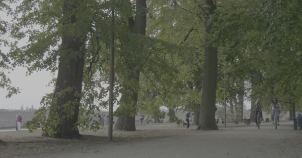 La gente está montando las bicicletas Dos mujeres jóvenes en bicicletas La gente corre ocupada con el deporte Los hombres Las mujeres y los niños están en el parque La gente se divierte — Vídeos de Stock