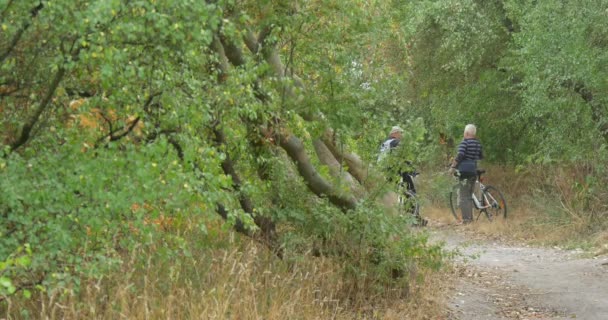 Δύο άνδρες στέκονται με ποδήλατα μιλάμε άνδρες με ποδήλατα μονοπάτι στα δέντρα πράσινο απλοποιήσει τη δημιουργία πράσινο δάσος Green Hill Park στις αρχές του φθινοπώρου — Αρχείο Βίντεο