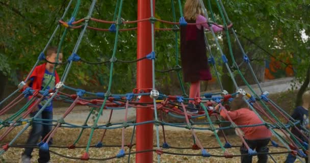 Boys and Girls Children Kids on a Rope Stairs Children at Playground Kids Are Running Climbing Green Trees in Park Are Around Fall Autumn Cloudy Daytime — Stock Video