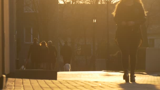 Sziluettek a nép a nap sugarai séta város Street fiatal nő embercsoport, kettő kutyák tér megvilágított nap útburkoló kövek városkép naplemente — Stock videók