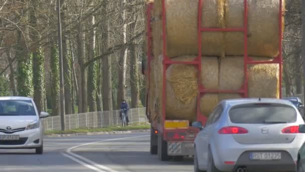 Auto's rijden op een snelweg op de autobrug fietser rijdt op een stoep langs de Verkeersveiligheidhek aan de zijkanten van de weg overdag buiten — Stockvideo