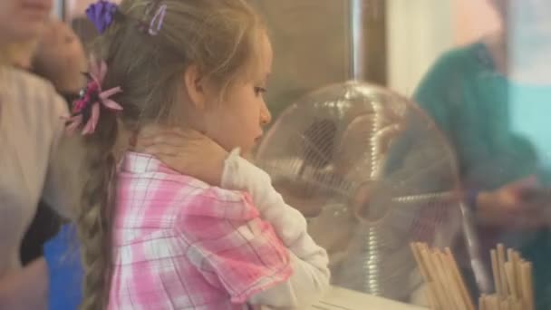 Kids Are Learning a Craft at Confectionery Looking Through Glass Sweets Factory Little Blonde Girl With Thick Long Braid — Stok Video