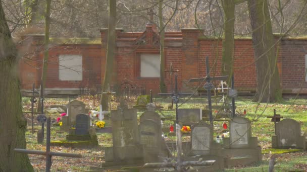 Vecchio cimitero cattolico Luogo di sepoltura Pietre tombali del giorno soleggiato con iscrizioni Croci su tombe tra alberi ramificati nudi Foglie secche Inverno a Opole Polonia — Video Stock