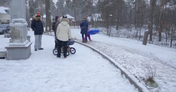 Компания людей, стоящих с серой детеныш коляски маленькая девочка в розовом зимнем костюме едет с холма снегоходные люди прогуливаются в парке снежный зимний день — стоковое видео