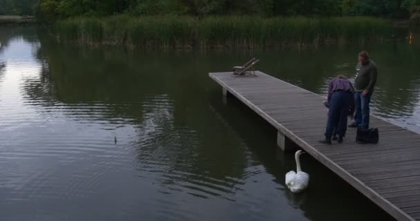 Man kvinna och barn lilla flicka familj står på trä Pier tittar på White Swan vatten grön vass träd är runt the badsjö — Stockvideo