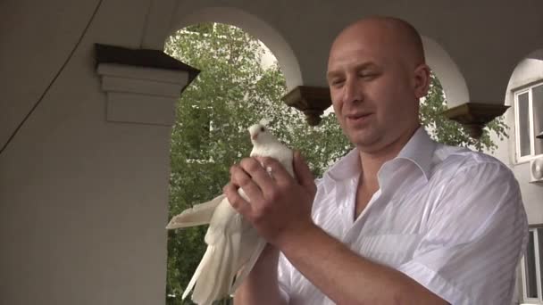 De Man houdt een witte duif in hun handen — Stockvideo