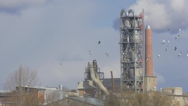 Birds Fly Over the Cement Plant Structures Ecology Environmental Pollution Pipes Gray-Blue Sky Fall Winter Spring Containers For Cement Clouds Are Floating — Stock Video