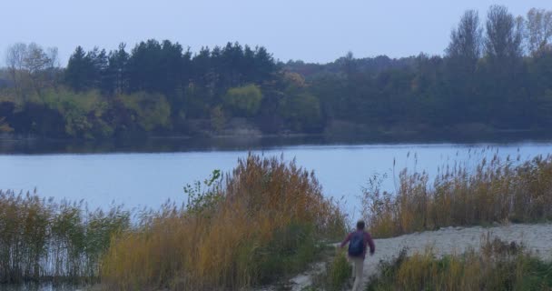 Man Comes and Looks at the Lake River De pie en Sandy Bank Backpacker Camina en un atardecer entre árboles de caña de hierba verde y amarilla Agua lisa Otoño — Vídeo de stock