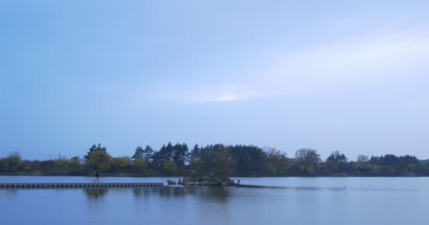 Man Comes to Wooden Pier in a Middle of a River Small Island Overgrown With Trees Autumn Landscape Yellow and Green Leaves Dusk Opposite River Bank — Stock Video