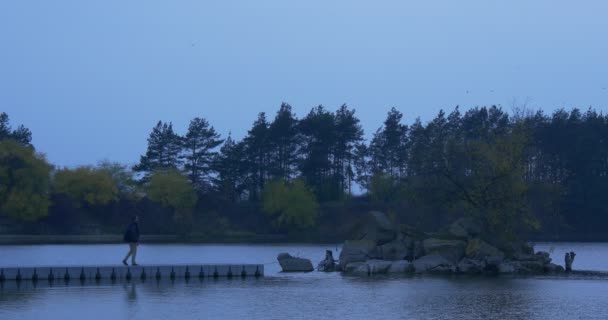 Man Walks by Pier in a Middle of a River Stony Island Overgrown With Trees Autumn Landscape Yellow and Green Leaves Dusk Trees on the Opposite Side Evening — Stock Video