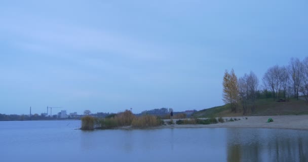 Tourist setzt sich auf sandigen Ufer Schwan schwimmt Bäume Sträucher Herbstlandschaft gelbe und grüne Blätter Stadtbild Gebäude Silhouetten am Horizont Abend — Stockvideo