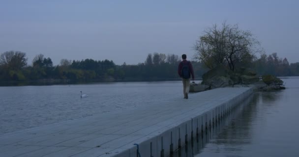 男は白い白鳥がコンクリート桟橋川に座って、木々が生い茂る秋の風景黄色と緑の葉の夕暮れの木のシルエットを呼び出します — ストック動画