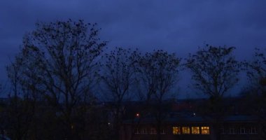 Kuşlar Kargalar Akşam Cityscape Binalar Da Ağaçlar Siluetler Üzerinde Oturup Windows Güzel Sonbahar Manzara Colorful Cloudscape Kuru Yapraklar Kuşlar Uçan mı