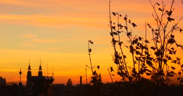 Spiror klocktorn av katedralen silhuetter träd vid solnedgången ljust gul himmel kväll vacker höstlandskap färgglada Cloudscape torra löv — Stockvideo