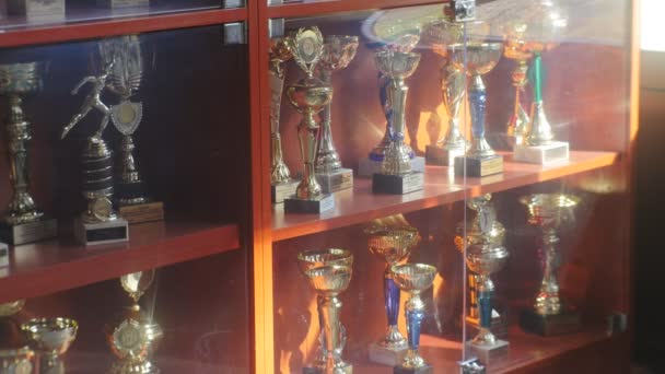 Nagrody wystawione w Showcase Chess Cup reprezentowane w sali klubowej "Czarny rycerz" trofea strategii zwycięstwa gra planszowa Opole Polska — Wideo stockowe