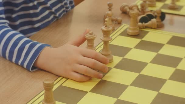 Dzieci uczą się grać szachy ustawia początkowe położenie białej szachy ręce blisko turnieju Organizator klub "Czarny rycerz" Daytime Opole Polska — Wideo stockowe