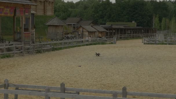 Woman on Brown Horse, Three Riders Are Riding Around, Wall on the Hill, Slow Motion — Stock Video