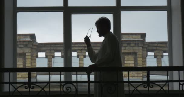 Profesor, chemik, biolog, učitel stojí v Coridoru univerzity, mluvení, siluety, okna na pozadí, pohled přes okno — Stock video