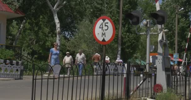People Group of Children Are Passing Through The Railroad People Closeup, Barrier is Risen Up, Road Sign — Stock Video