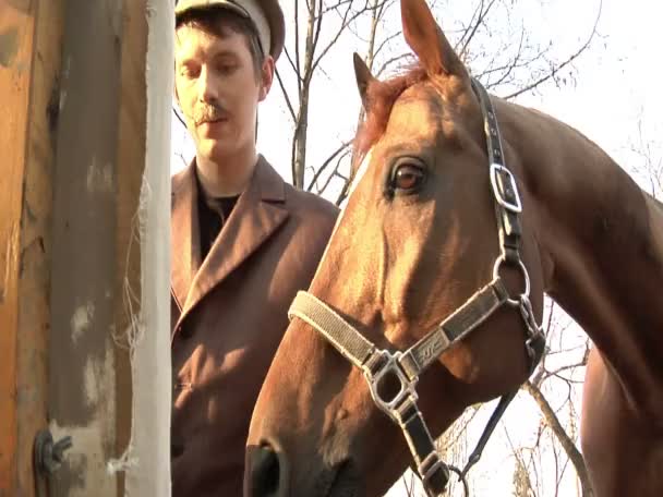 Un uomo disegna cavallo marrone — Video Stock