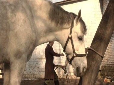 Takım elbiseli bir adam at çizer