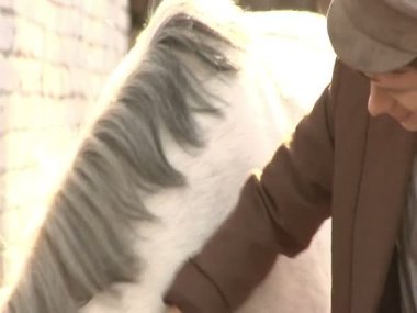 Bir adam bir beyaz atı evcil hayvan