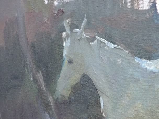 Drawing a White Horse — Stock Video