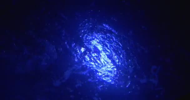 Sprit of Water, Fiskeriskole, Lampelygte på baggrund, Silhouetter, Akvarium – Stock-video