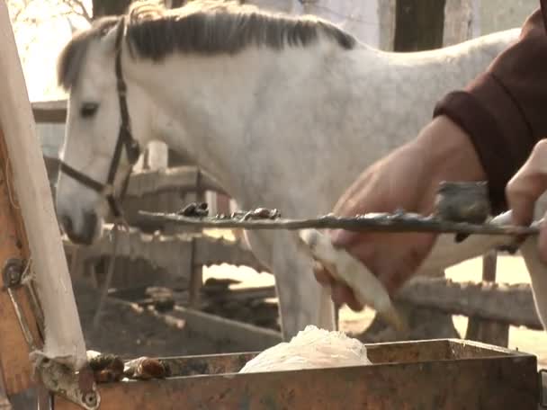 Jonge Man in pak trekt een wit paard — Stockvideo