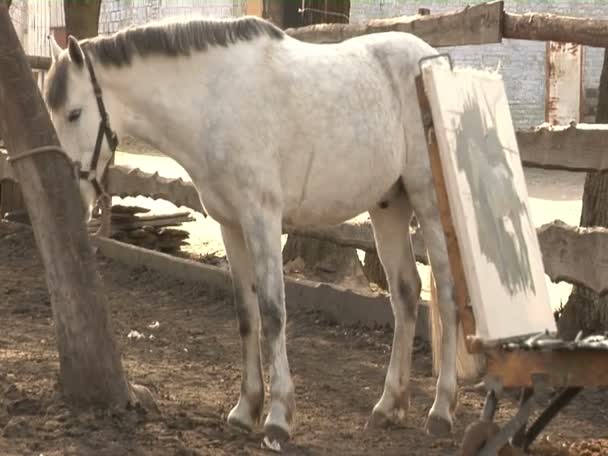 Um homem de terno desenha cavalo — Vídeo de Stock