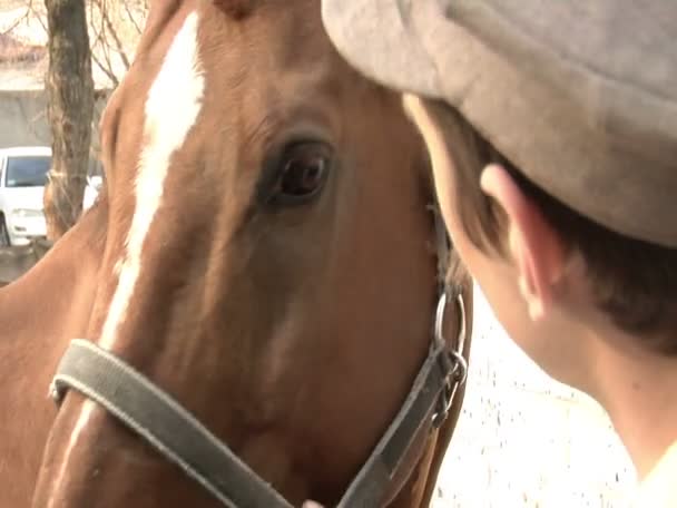 Un uomo in abito marrone Animali domestici un cavallo marrone — Video Stock