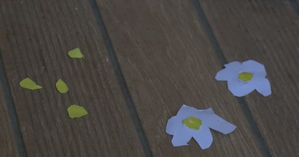 Una niña pequeña hace una aplicación de papel — Vídeos de Stock