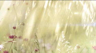 Sahada Eski Kilise, Güneşli Yaz Günü, Bilgisayar Grafik, Renkli Backgroungs