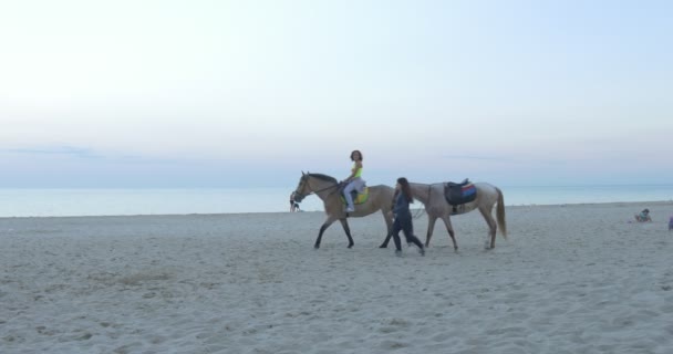 Duas meninas em um cavalo, Montando pela praia, As pessoas têm um descanso no litoral, Litoral, Praia de areia, As pessoas estão andando, Aproveitando o bom tempo — Vídeo de Stock