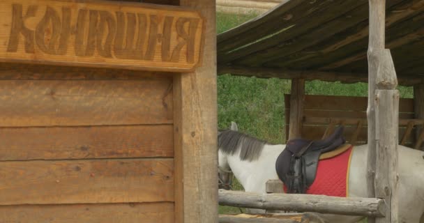 Écurie en bois inscription cheval blanc "Écurie" sur une planche en bois — Video