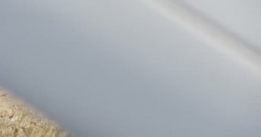 Adam Yol Traktör boyunca Alan tarafından Traktör Sürüş Bir Ufukta Toprak Araba Pulluk, Arka Plan Mavi Gökyüzü Üzerinde Alan Bitkiler, Ağaçlar